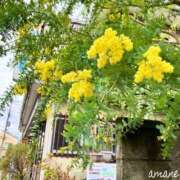 ヒメ日記 2026/03/02 20:08 投稿 あまね おふくろさんYO!!大和店