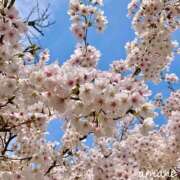 ヒメ日記 2026/04/23 09:28 投稿 あまね おふくろさんYO!!大和店