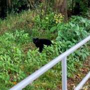 ヒメ日記 2026/10/19 18:38 投稿 あまね おふくろさんYO!!大和店