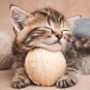 ヒメ日記 2025/06/27 12:21 投稿 ひより 熟女の風俗最終章 相模原店