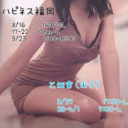 ヒメ日記 2025/03/08 14:03 投稿 めいの ハピネス福岡