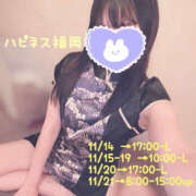 ヒメ日記 2025/11/01 12:42 投稿 めいの ハピネス福岡