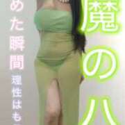 ヒメ日記 2025/04/30 03:03 投稿 ミラ 痴女@女王様