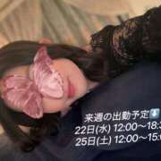 ヒメ日記 2025/01/17 00:11 投稿 新川あおい CELEB SPA PREMIUM