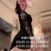 ヒメ日記 2025/02/03 13:52 投稿 新川あおい CELEB SPA PREMIUM