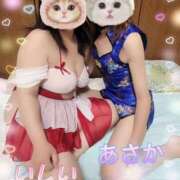 ヒメ日記 2026/06/14 09:15 投稿 朝香 熟女妻