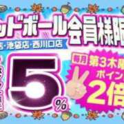 ヒメ日記 2024/10/16 17:38 投稿 板東 西川口デッドボール