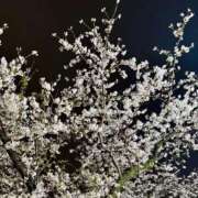 ヒメ日記 2025/04/03 00:18 投稿 よしの シンデレラ【平均年齢20才、風俗未経験の娘が8割以上】