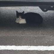 ヒメ日記 2025/07/13 07:27 投稿 よしの シンデレラ【平均年齢20才、風俗未経験の娘が8割以上】