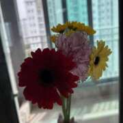 水城まゆ こんばんは DESIRE（中州）