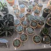 ヒメ日記 2025/09/28 22:03 投稿 なお 人妻美人館