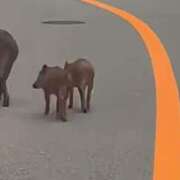 ヒメ日記 2025/10/06 23:48 投稿 なお 人妻美人館