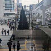 ヒメ日記 2025/11/02 23:22 投稿 なお 人妻美人館