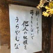 ヒメ日記 2025/11/13 08:11 投稿 なお 人妻美人館