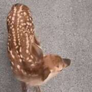 ヒメ日記 2026/01/09 16:47 投稿 なお 人妻美人館