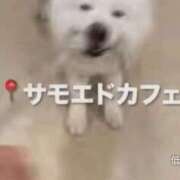 ヒメ日記 2026/06/19 23:16 投稿 なお 人妻美人館