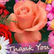 ヒメ日記 2025/04/04 13:46 投稿 有村りか 五十路マダム富山店(カサブランカグループ)