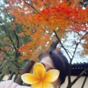 ヒメ日記 2025/11/27 05:52 投稿 赤坂麗来 五十路マダム富山店(カサブランカグループ)