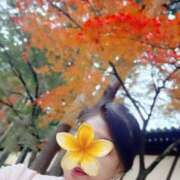 ヒメ日記 2025/12/01 12:18 投稿 赤坂麗来 五十路マダム富山店(カサブランカグループ)