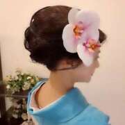 ヒメ日記 2026/04/06 07:44 投稿 赤坂麗来 五十路マダム富山店(カサブランカグループ)