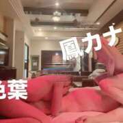 ヒメ日記 2026/04/14 12:35 投稿 水島　色葉 人妻が愛人