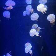 ヒメ日記 2025/12/26 10:32 投稿 山本　あん ギン妻パラダイス 谷九店