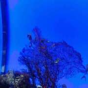 ヒメ日記 2026/01/02 18:23 投稿 山本　あん ギン妻パラダイス 谷九店