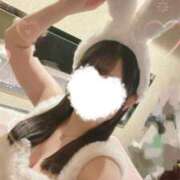 おと 明日最終日です🐰 ビギナーズ和歌山