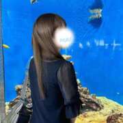 ヒメ日記 2025/02/24 11:11 投稿 まい Я’s SPEC2