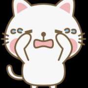 ヒメ日記 2025/12/13 20:21 投稿 まい Я’s SPEC2