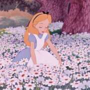 ヒメ日記 2026/02/22 15:11 投稿 まい Я’s SPEC2