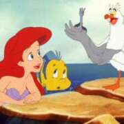 ヒメ日記 2026/02/26 15:02 投稿 まい Я’s SPEC2