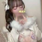 ヒメ日記 2026/03/12 07:15 投稿 まい Я’s SPEC2