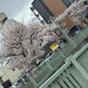 ヒメ日記 2026/04/05 10:15 投稿 まい Я’s SPEC2