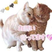 ヒメ日記 2025/04/13 22:18 投稿 れな 尼妻（あまづま）