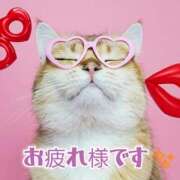 ヒメ日記 2025/04/24 21:57 投稿 れな 尼妻（あまづま）