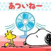 ヒメ日記 2025/07/01 19:57 投稿 れな 尼妻（あまづま）