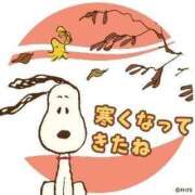 れな 出勤しました🐼 尼妻（あまづま）