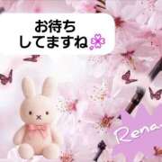 れな 待機になりました🐼 尼妻（あまづま）