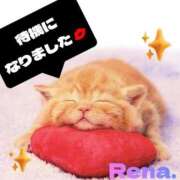 れな こんばんは🌠 尼妻（あまづま）