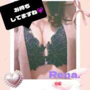 れな 待機になりました🐼 尼妻（あまづま）
