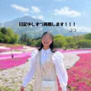 ヒメ日記 2025/02/01 20:26 投稿 ココ 道玄坂クリスタル