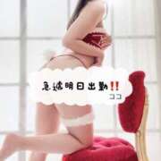 ヒメ日記 2025/02/23 14:26 投稿 ココ 道玄坂クリスタル