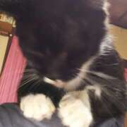 ヒメ日記 2024/12/08 21:31 投稿 守山きよみ 人妻家久喜