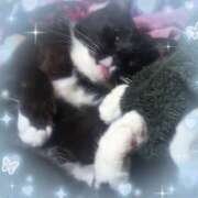 ヒメ日記 2025/05/03 18:33 投稿 守山きよみ 人妻家久喜