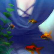 ヒメ日記 2025/05/30 12:31 投稿 守山きよみ 人妻家久喜