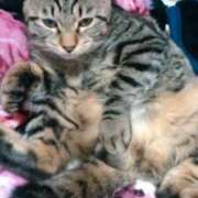 ヒメ日記 2026/02/02 12:51 投稿 守山きよみ 人妻家久喜