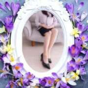 ヒメ日記 2024/12/18 11:39 投稿 のぶこ 新宿・新大久保おかあさん