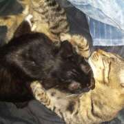 ヒメ日記 2025/01/08 23:46 投稿 守山きよみ 人妻家 古河・小山店