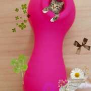 ヒメ日記 2025/02/09 12:30 投稿 守山きよみ 人妻家 古河・小山店